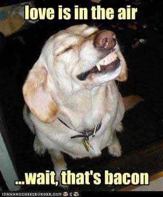 10635985_330289693847285_801674672258903893_n