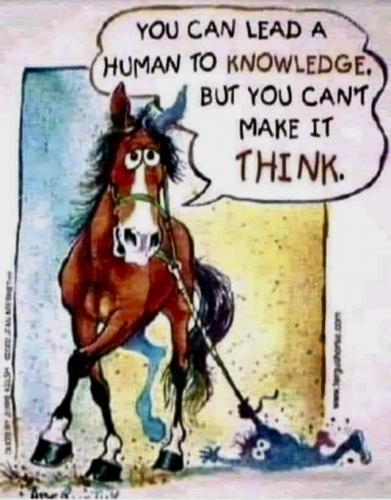 030623 - Can't make 'em think