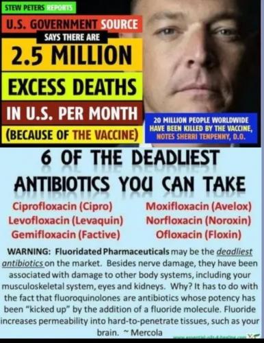 Screenshot_20230328_041022_Brave