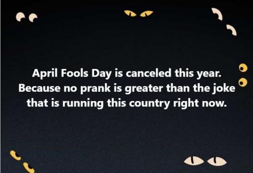 fool