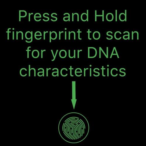 45079352_10212589592359083_2447060369970036736_n