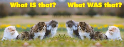 What IS, WAS That