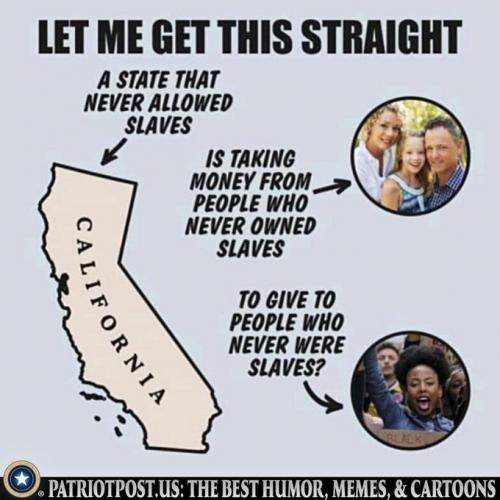 Never-Slaves