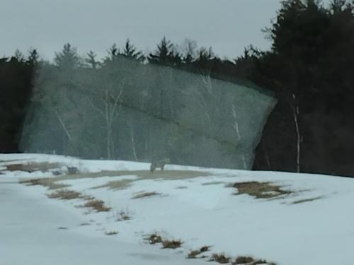 IMG_20230321_074604452