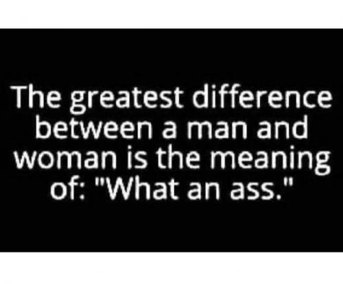 337364250_576284287621371_2466075579827971740_n