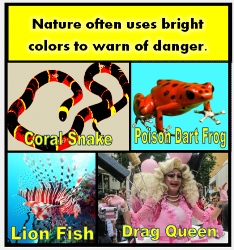 Dangers