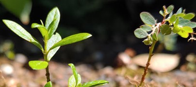 031923 - Weeding Out Sins