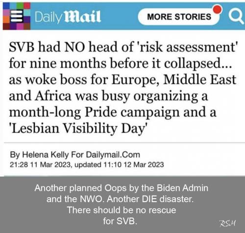 SVB no risk asses