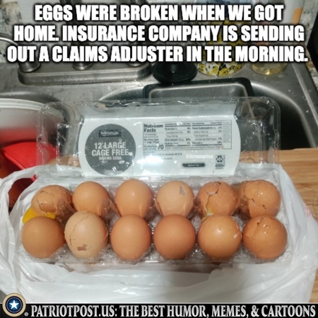 Eggs