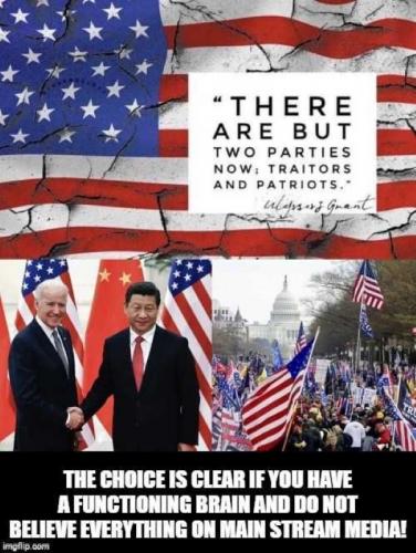 USA traitors & patriots
