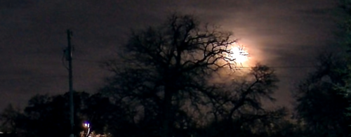 vicoo20230306055433 (1)