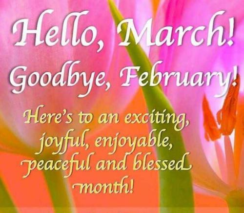 v2YGbUQfT4QNKHjaxaZ1_01_e61898c270d096ec9680c504802e68e9_image