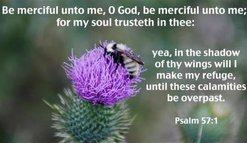030823 - Psalm 57