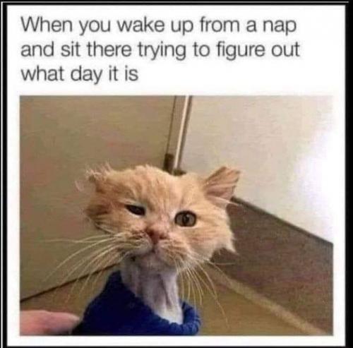 332943091_958655068834715_2279544265409552399_n