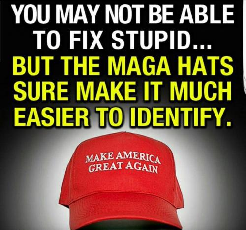 MAGA