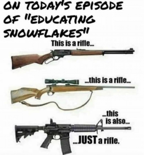 M just a rifle
