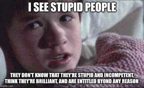 i-see-stupid-people3