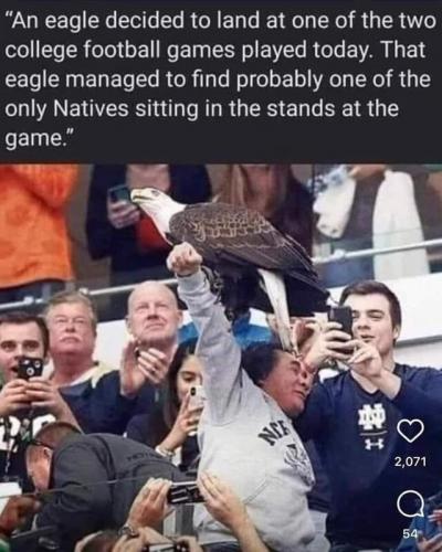 Eagle