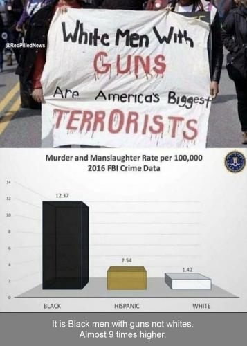 blacks & guns 10X worse