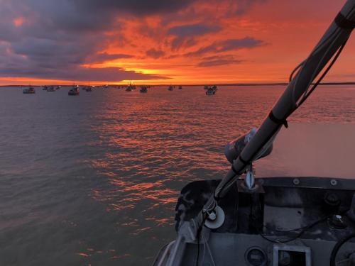 701AE7D2-8EC0-4447-88F1-CFFE7B419794