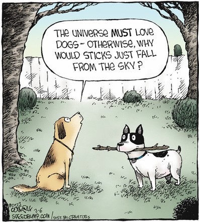 Screenshot 2023-03-06 at 06-50-44 Speed Bump by Dave Coverly for March 06 2023 GoComics