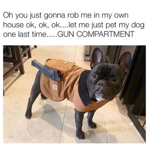 85018167_2564947260383737_627272126675550208_n