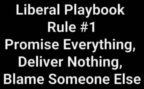 A liberal playbook