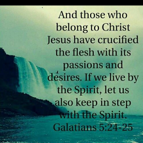 IMG_20230324_102554_086