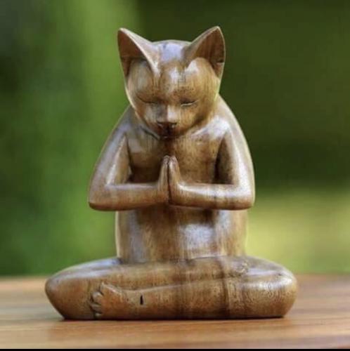 AF923549-9B91-4D5D-B20C-9F2DEC8AAC4F