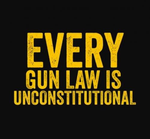 USA gun law