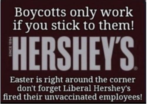 Screenshot_20230305_150536_Brave