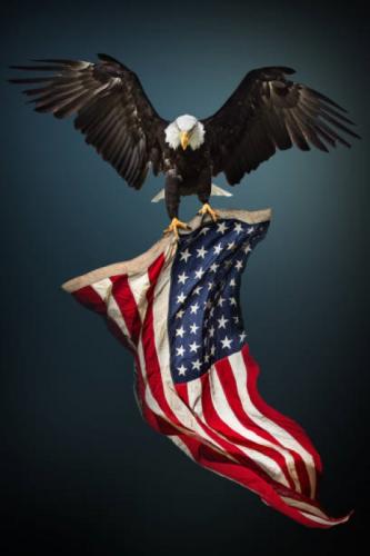 A eagle and flag