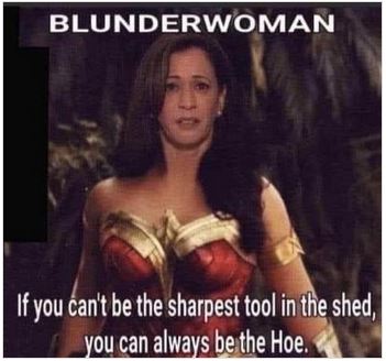 bidenhohoblunderwoman