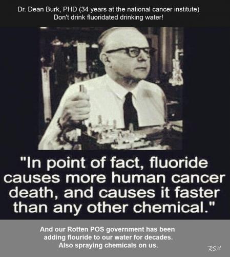flouride & cancer