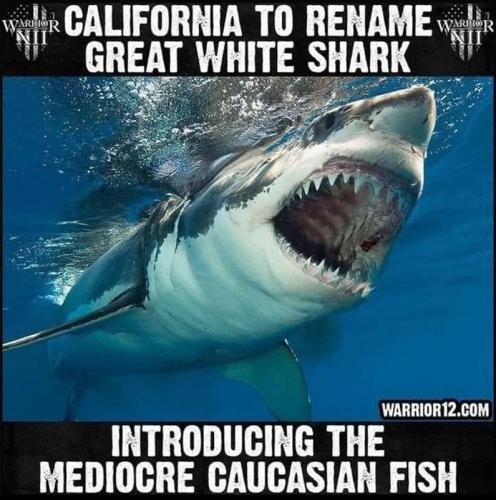 M was Great White