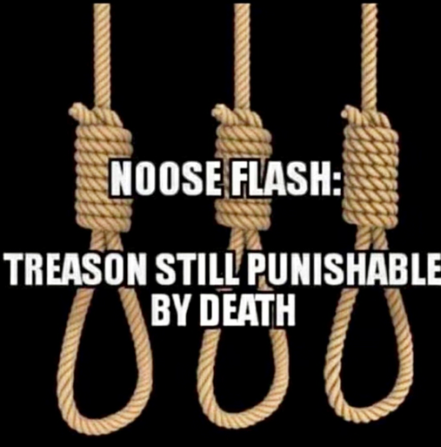 Hanging, Treason -- Noose Flash
