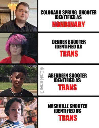 trans mental illness