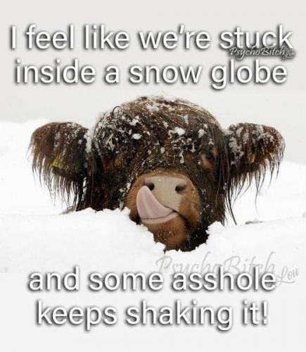 336200539_888469709086943_6722890971515928210_n