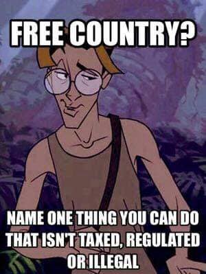 339017003_214605064482333_1630798283464317384_n