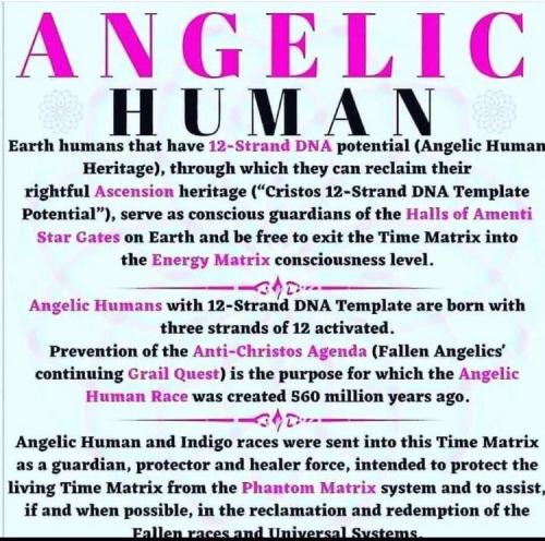 874BEED4-032B-478F-9D31-7F28667A050A