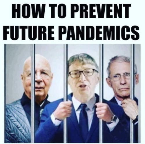 Fake Pandemic