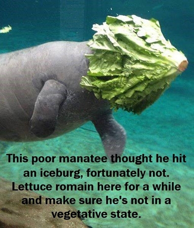 68359062_2667778023267592_6500565957503614976_n