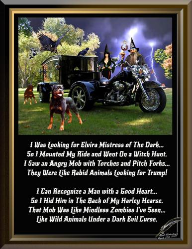 Black Harley Hearse ~The Wizard and The Mistress~ Too