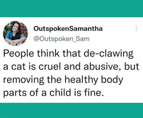 qwk4livwu89ijehgx7kzv7phckzevk92