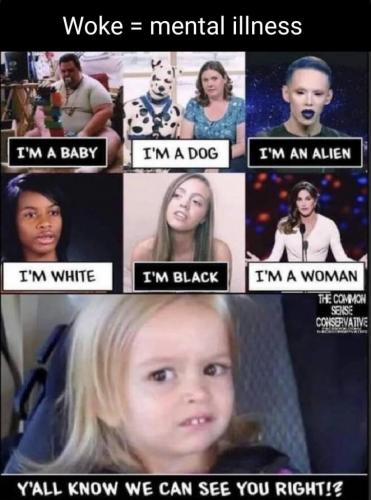 512dc75cf9ab97a3b70d70c04c5b0265_1024