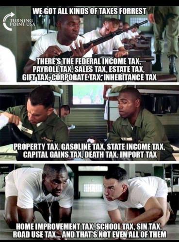 Government, Taxes, Forest Gump -- How Steal Your Money$