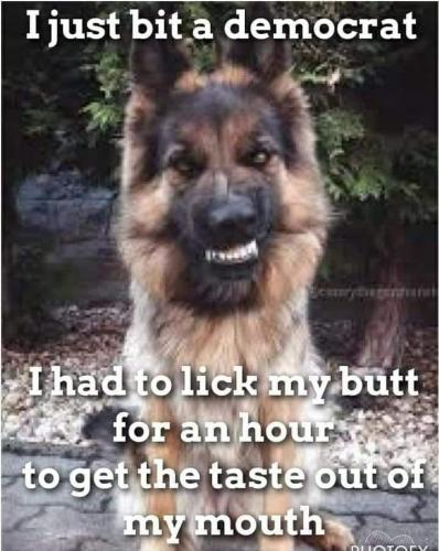 Just bit a Democret
