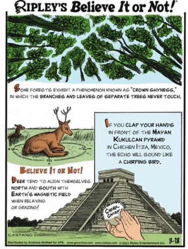 Screenshot 2023-03-18 at 06-57-02 Ripley's Believe It or Not by Ripley’s Believe It or Not! for March 18 2023 GoComics