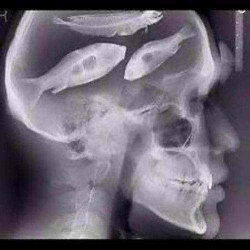 334097293_542073198026545_7636153202083109640_n