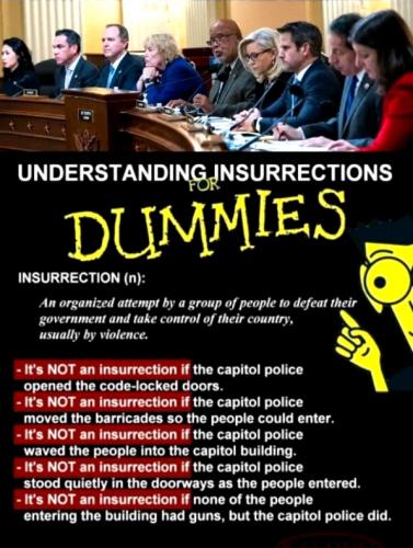 J6 Insurrection for Dummies